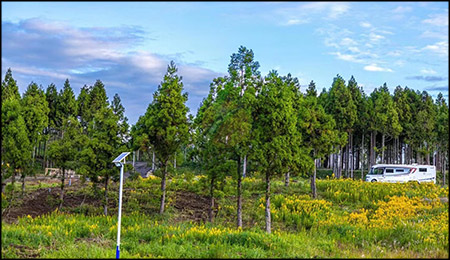 solar street light